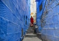 Blue houses in Jodhpur, India