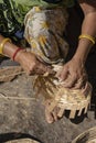 Indian woman weaves a bamboo basket with her legs and arms in an market, close up. India