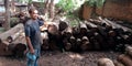 An indian woodworker showing raw materials at sawmill factory