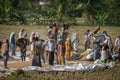 Indian workers in a field Royalty Free Stock Photo
