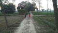 Indian young children keep bundles of small grass on their heads and go home in the evening. Kushinagar village