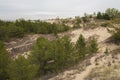 Indiana Dunes - Dune Succession Trail Royalty Free Stock Photo