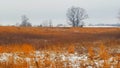 Indiana fire grass Febuary snow 4 Royalty Free Stock Photo