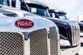 Indianapolis - Circa June 2018: Peterbuilt Semi Tractor Trailer Trucks Lined up for Sale. Peterbuilt is owned by Paccar II