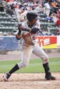Indianapolis Indians outfielder Gorkys Hernandez Royalty Free Stock Photo