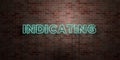 INDICATING - fluorescent Neon tube Sign on brickwork - Front view - 3D rendered royalty free stock picture