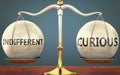 Indifferent and curious staying in balance - pictured as a metal scale with weights and labels indifferent and curious to