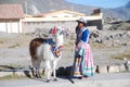 Indigence Peruvian woman with lama Royalty Free Stock Photo