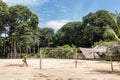 Indigenous community in the city of Manaus in Amazonia