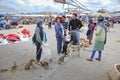 Indigenous Ecuadorian market Royalty Free Stock Photo