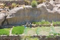 Indigenous farmers at Caspana