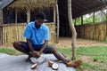 Indigenous Fijian man husking a coconut fruit in Fiji Royalty Free Stock Photo