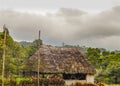 Indigenous Houses at Amazonia Ecuador Royalty Free Stock Photo