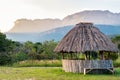 Indigenous hut with Auyan Tepuy at the background.