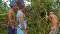 Indigenous Man Pulling A Liana Of Ayahuasca In The Amazon Rainforest