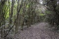 Indigenous mountain hike in Uruguay, South America