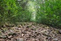 Indigenous mountain hike in Uruguay, South America