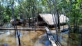 Indigenous native village at Amazon Forest Manaus Brazil.