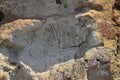 Indigenous Rock Carvings at Petroglyph Point, Lava Beds National Monument, California