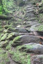 Indigenous stone stairs to Ciudad Perdida archeological site Royalty Free Stock Photo