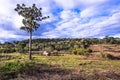 Indigenous Village in Brazil Royalty Free Stock Photo