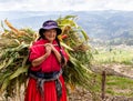 Indigenous woman of ecuadorian sierra Royalty Free Stock Photo