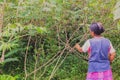 Siona Woman Prepares To Cut A Yucca Root