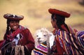 2 indigenous women from Cusco with typical colorful clothes and hats and a llama