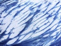 Indigo blue fabric tie dye pattern background.