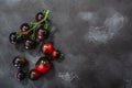 Indigo Rose heirloom cherry tomatoes on the vine atop washed dark concrete backdrop, top view Royalty Free Stock Photo