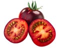 Indigo Rose heirloom tomato, ripe anthocyanin-rich fruit,  isolated Royalty Free Stock Photo