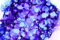 Indigo watercolor texture background Royalty Free Stock Photo