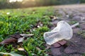 PVC cups litter on public park pose danger to environment Royalty Free Stock Photo