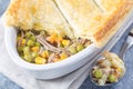 Individual beef pot pie or deep dish pie in baking dish, crust broken open, horizontal