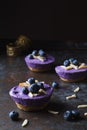 Individual mini blueberry cheesecakes