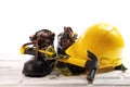 Individual protective equipment at work Royalty Free Stock Photo