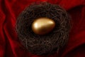 Individual retirement account, personal savings and pension fund concept with close up on a gold egg in a nest symbolizing the Royalty Free Stock Photo