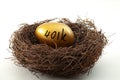 Individual retirement account, personal savings and pension fund concept with close up on a golden egg in a nest symbolizing the Royalty Free Stock Photo