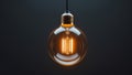 Individuality Concept Featuring One Bright Light Bulb Standing Out. Royalty Free Stock Photo