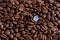 Individuality, standing out from a crowd concept, close up of a single bright, gold coffee bean over many dark ones with copy spac