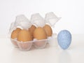 Individuality, uniqueness, difference or diversity. One beautiful blue egg near plastic eggbox with normal brown ones Royalty Free Stock Photo