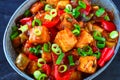 Indo chinese veg paneer manchurian Royalty Free Stock Photo