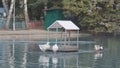 Indo-women sleep on a pontoon in the middle of a blue lake. Duck house in the park on the lake. Royalty Free Stock Photo