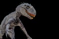 Indominus rex isolated  on black background Royalty Free Stock Photo