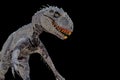 Indominus rex isolated on black background