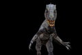 Indominus rex isolated on black background