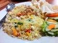 Indoneisan fried rice Royalty Free Stock Photo