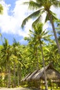 Indonesia. Bali. Hut under palm trees Royalty Free Stock Photo