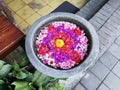 Indonesia Bali Ubud Bedugal Restaurant Entrance Fresh Flower Petals Water Pond Feng Shui Decoration Spa Relax Environment Basin Royalty Free Stock Photo