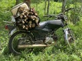 Indonesia East Java Tancak motorcycle and woods